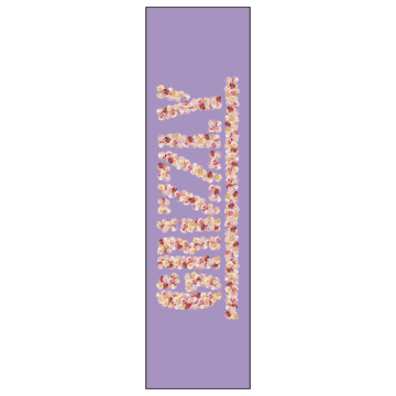 GRIP PLAQUE EVERY ROSE ASSORTED 9 X 33