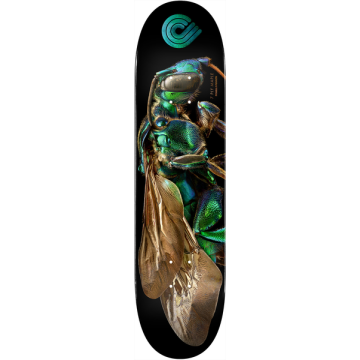 DECK PS BISS ORCHID CUCKOO BEE 8.0 X 31.45