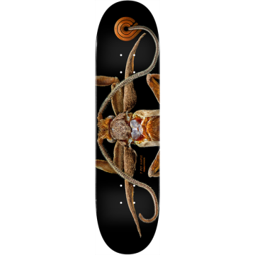 DECK PS BISS MARION MOTH 8.25 X 31.95