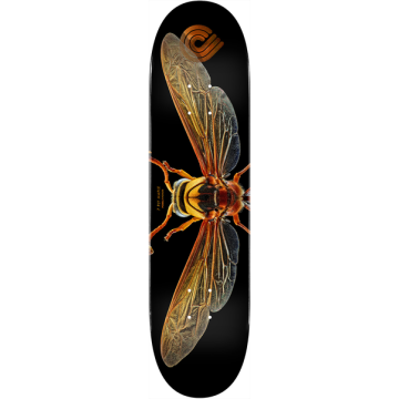 DECK PS BISS POTTER WASP 8.0 X 31.45