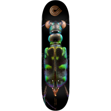 DECK PS BISS TIGER BEETLE 8.25 X 31.95