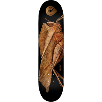 DECK PS BISS LEAF GRASSHOPPER 8.5 X 32.08